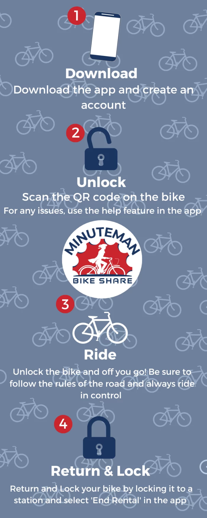 Bike Share poster Infographic